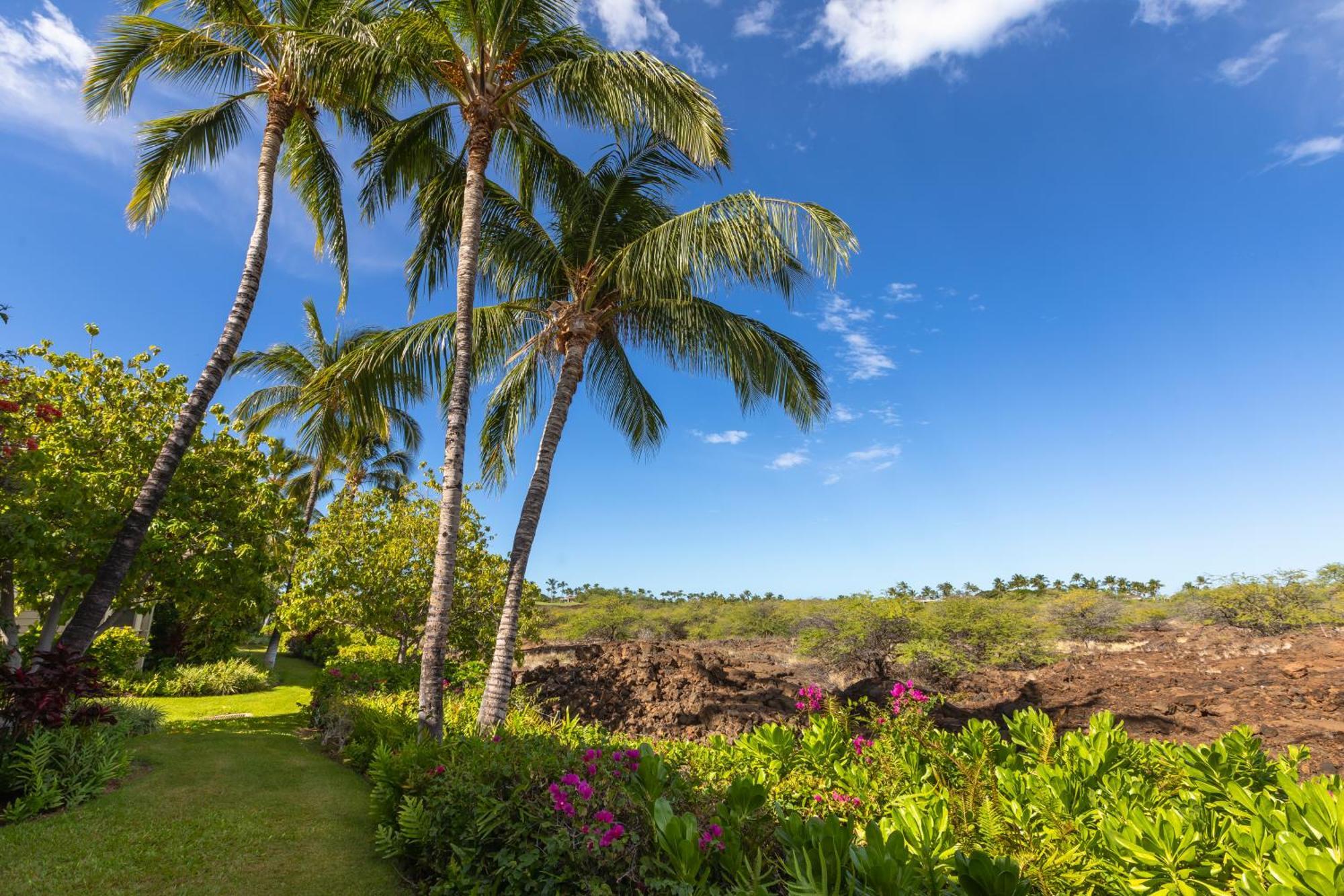 Mauna Lani Palm Villas D-2 Corner Unit Historic View ไวโคโลอา ภายนอก รูปภาพ